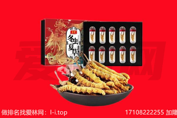 廊坊回收虫草.jpg